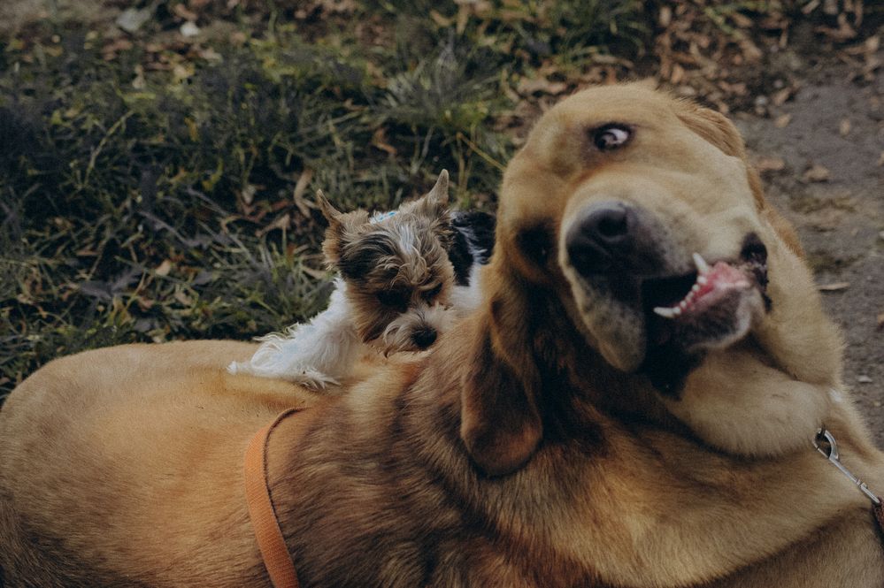 Photograph by Мария Лавриненко