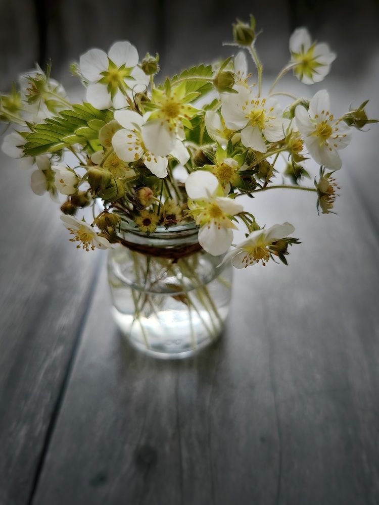 Photograph by Гульназ Шайхисламова