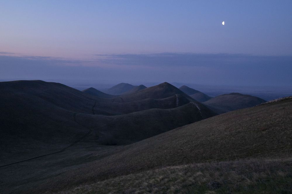 Photograph by Елена Перминова