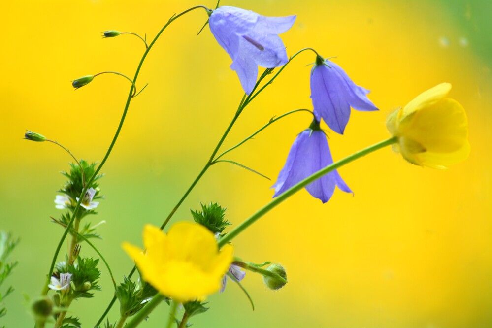 Photograph by София Бояринцева