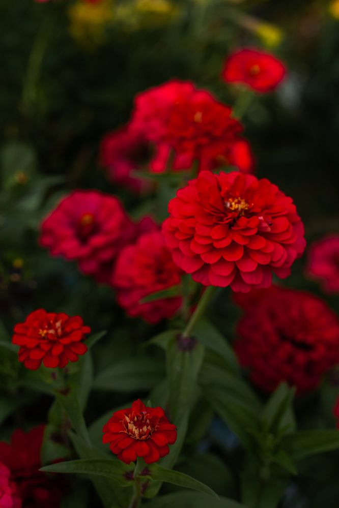 Photograph by Евгения Гуляева