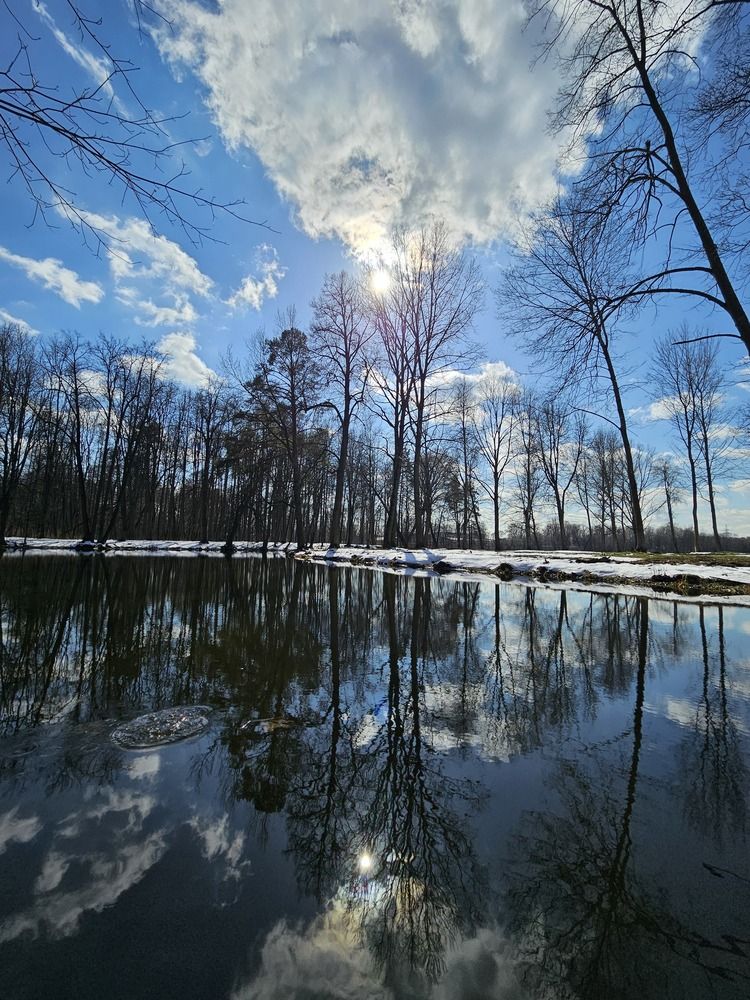 Photograph by НАТАЛЬЯ БОЧАРНИКОВА