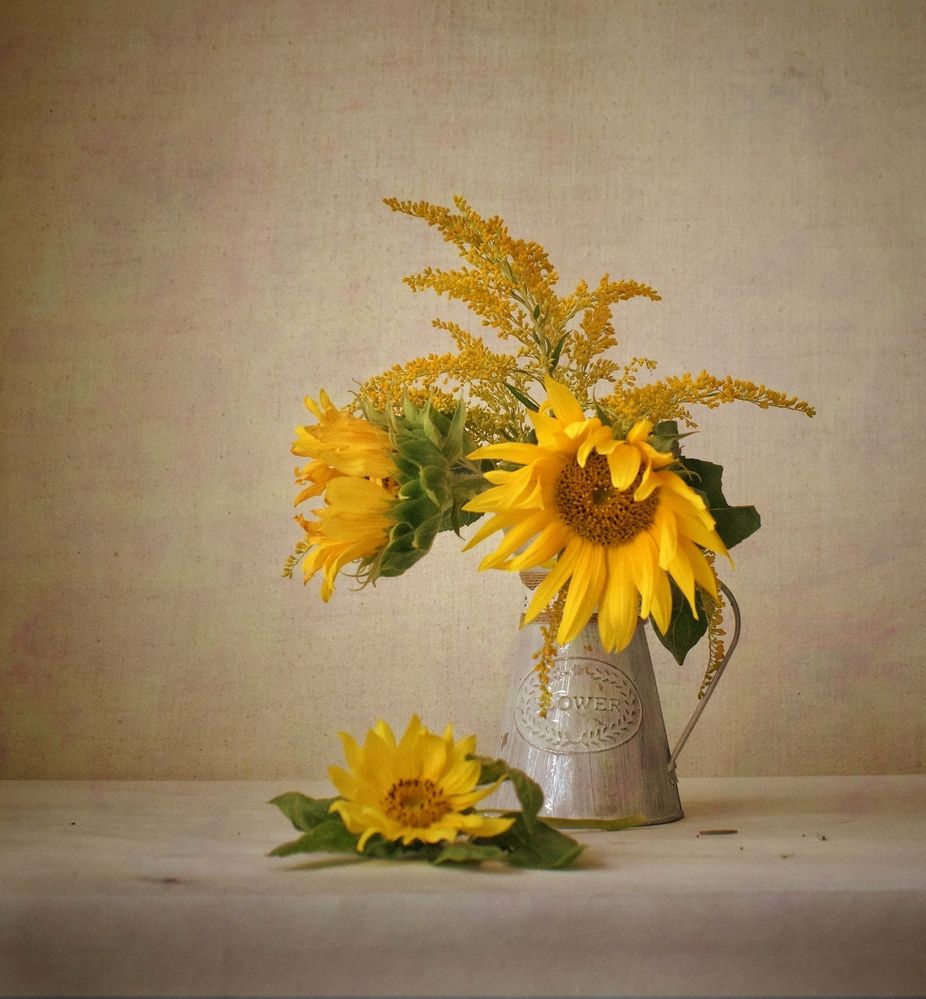 Photograph by Антонина Шабышева