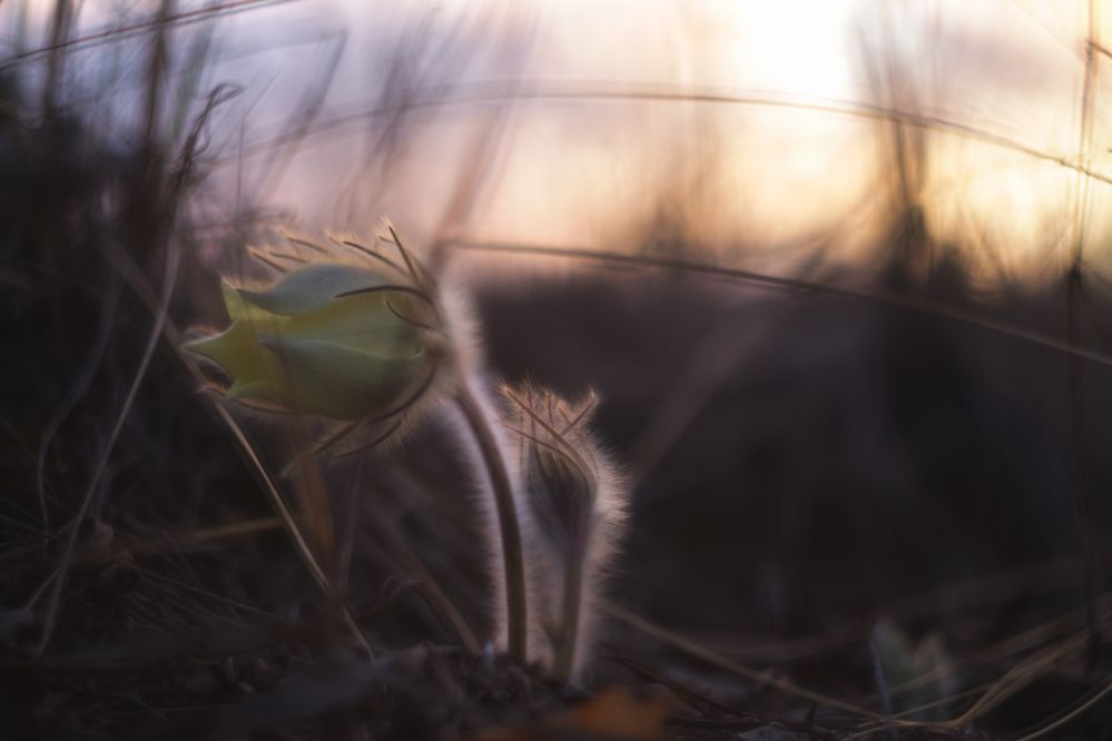 Photograph by Толстоноженко Илья