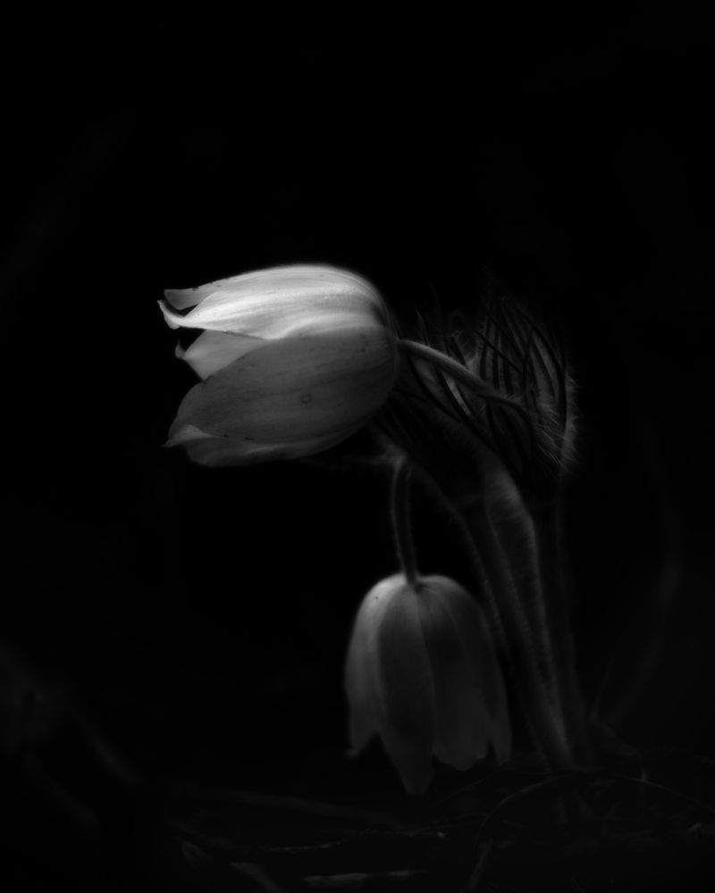 Photograph by Толстоноженко Илья