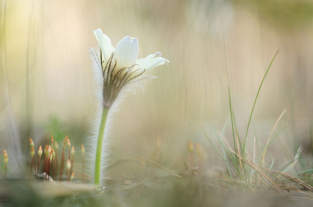 Photograph by Толстоноженко Илья