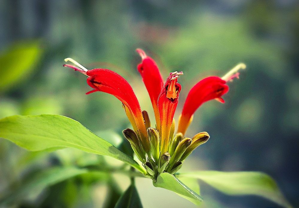 Photograph by Елена Ласун