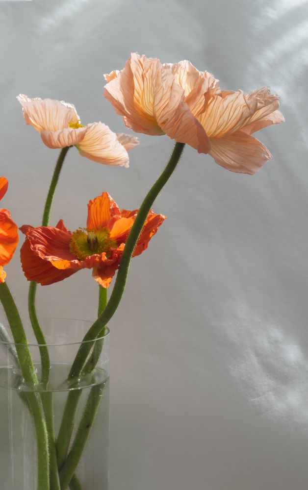 Photograph by Андрей Семенков