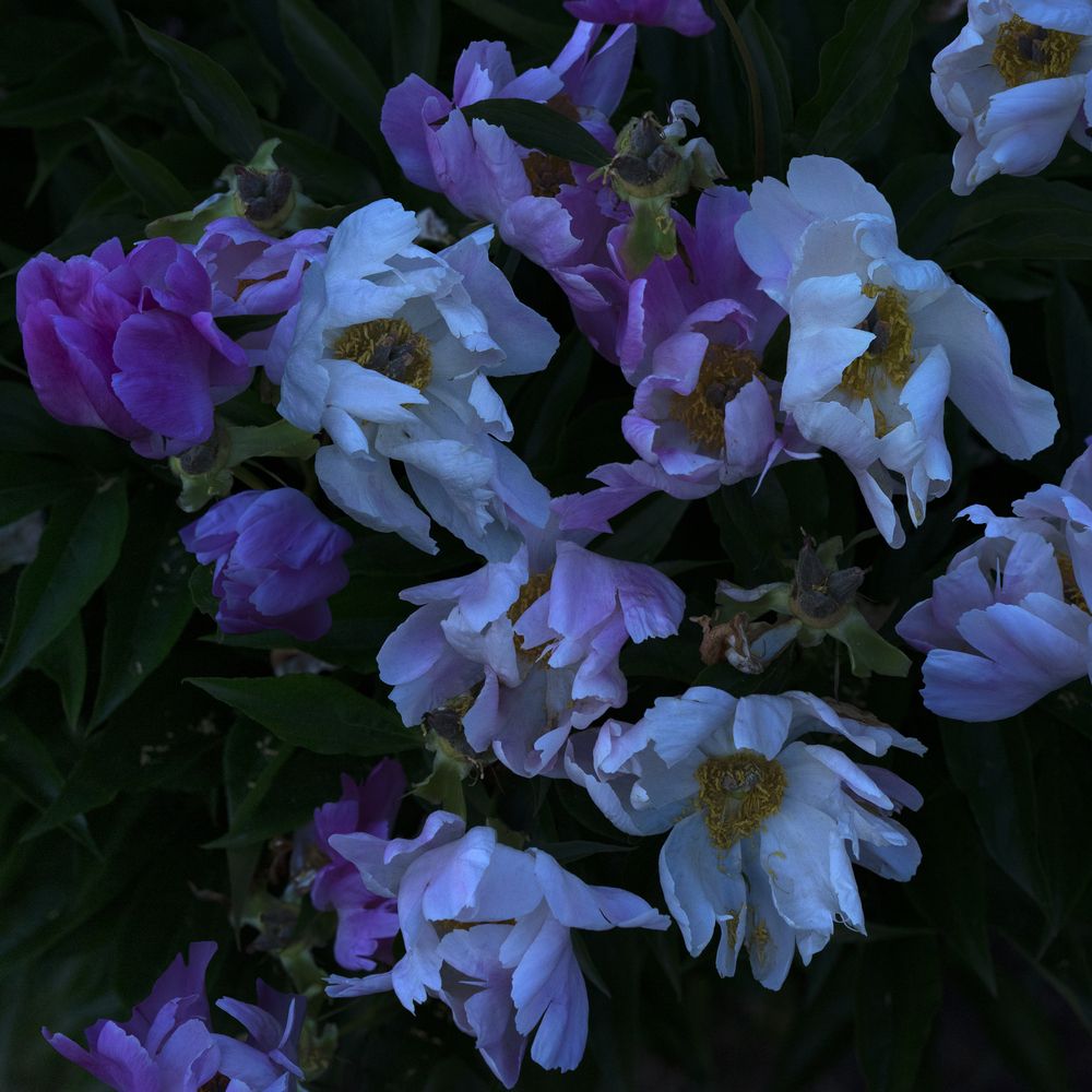 Photograph by Андрей Семенков