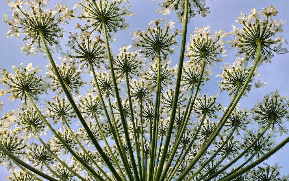 Photograph by Евгений Устинов