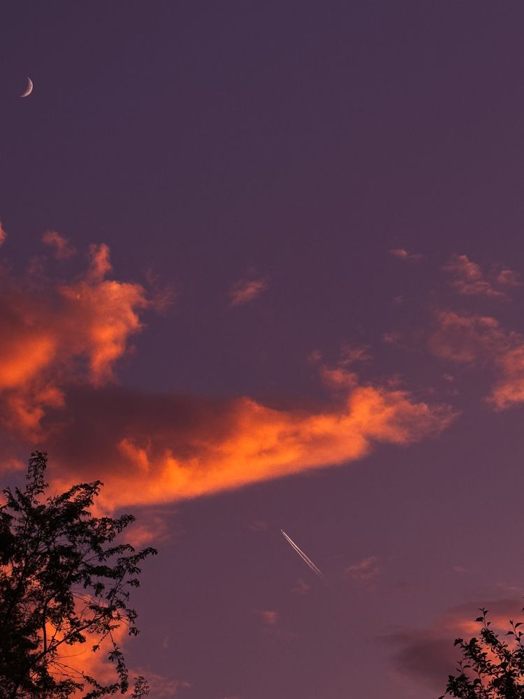 Photograph by Алёна Горошко
