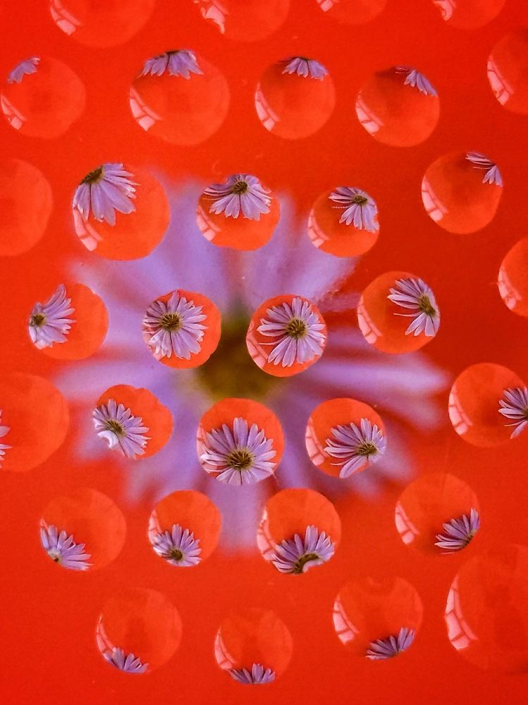 Photograph by Анна Ермак