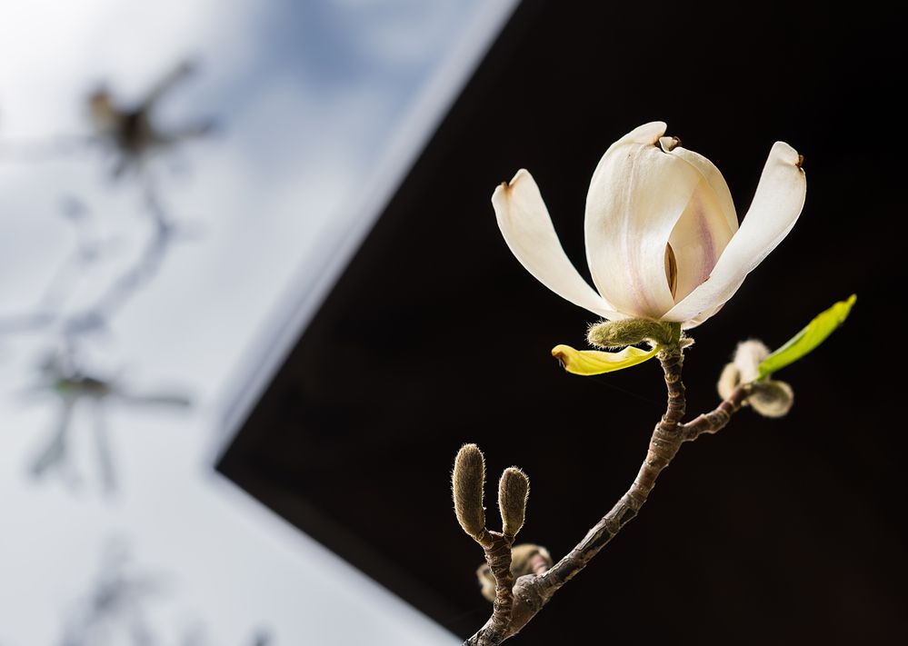 Photograph by Ольга Мусиенко