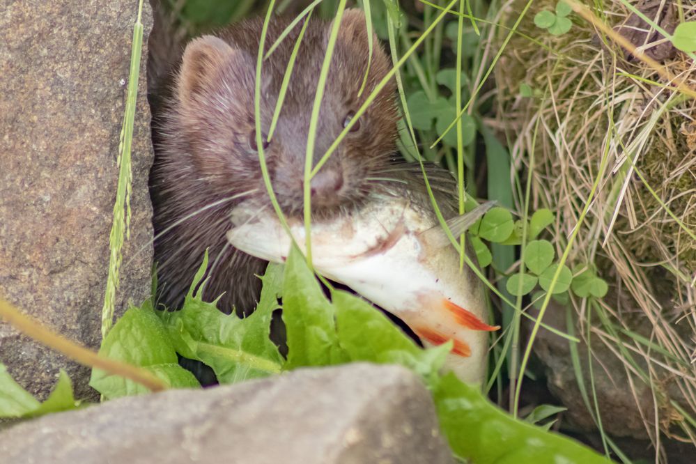 Photograph by Роман Кондрашин