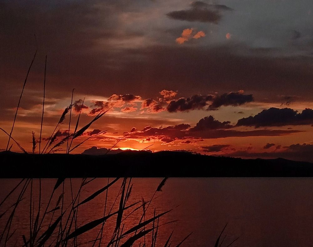 Photograph by Оксана Мельник