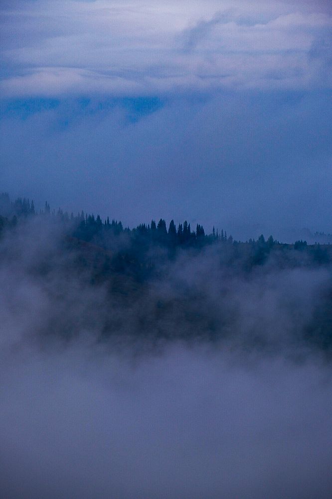 Photograph by Ирина Дегтярева