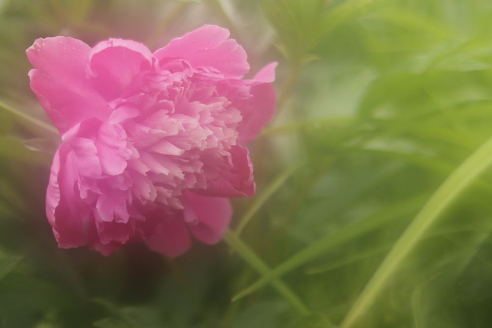 Photograph by Светлана Соколова