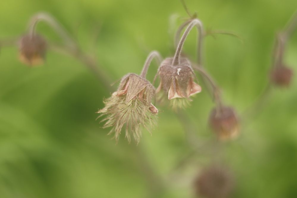 Photograph by Светлана Соколова