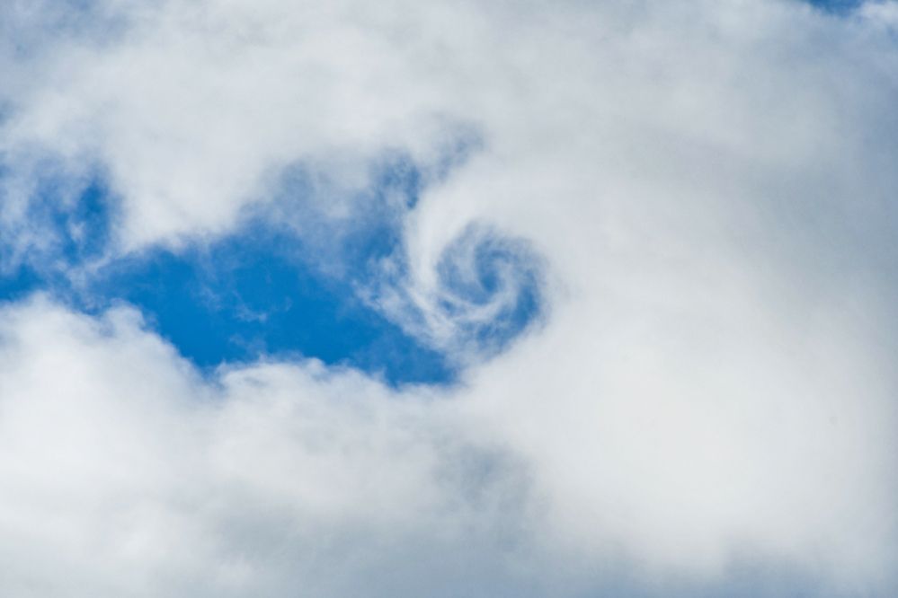 Photograph by Teresa Molinaro