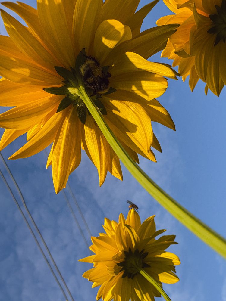 Photograph by Марина Харитонова