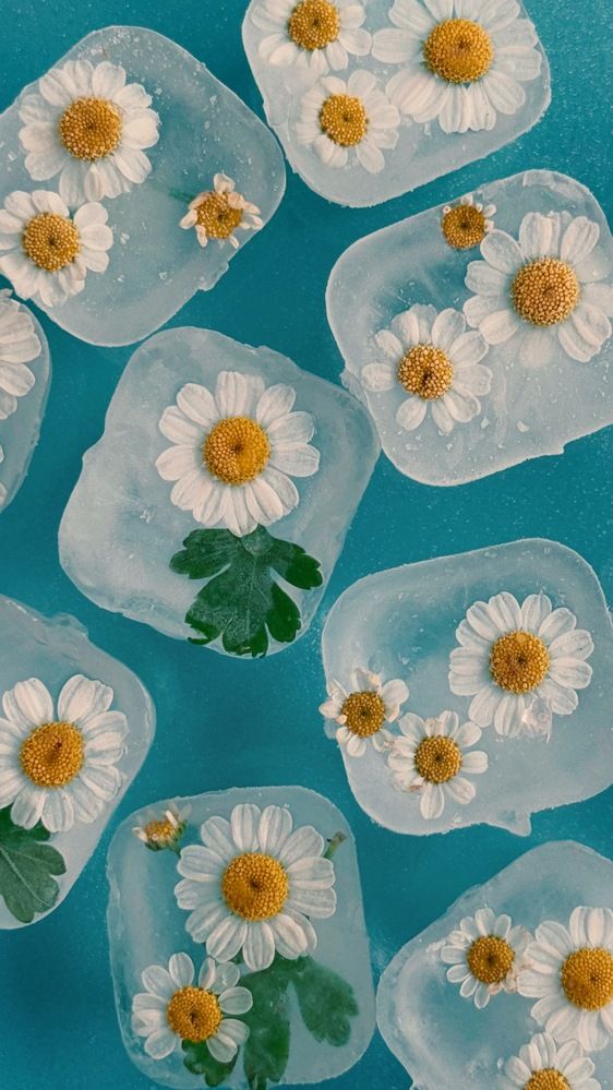 Photograph by Анна Ермак