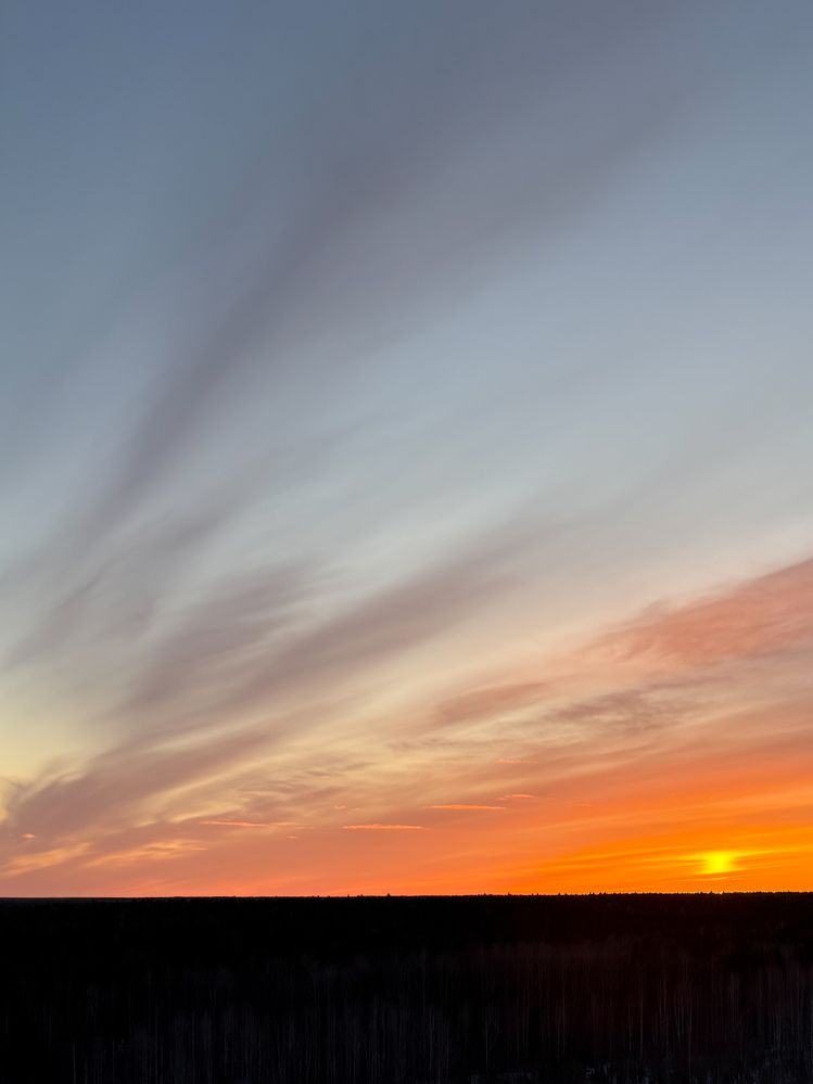 Photograph by Марина Харитонова