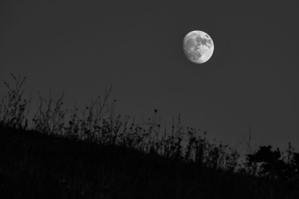 Photograph by Teresa Molinaro