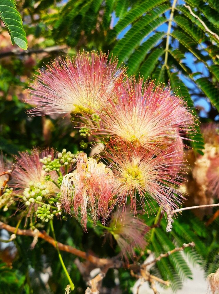 Photograph by Галина Глазкова