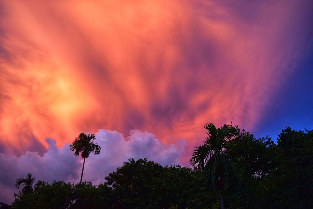 Фотография автора Sheuli Akther