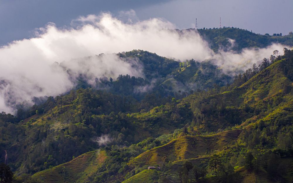 Photograph by Eddy Vittini