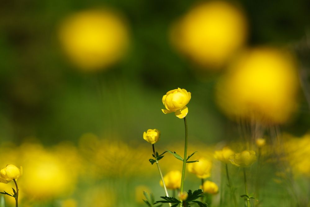 Photograph by Александр