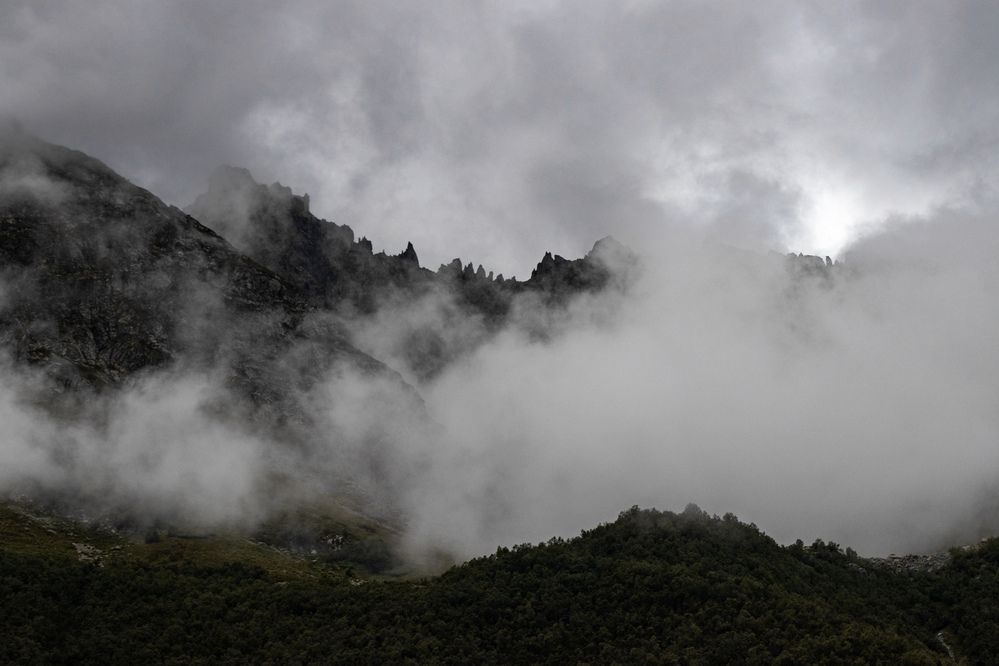 Photograph by Дмитрий Костяков