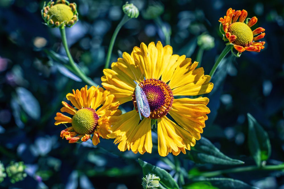 Photograph by Павлович Анатолий