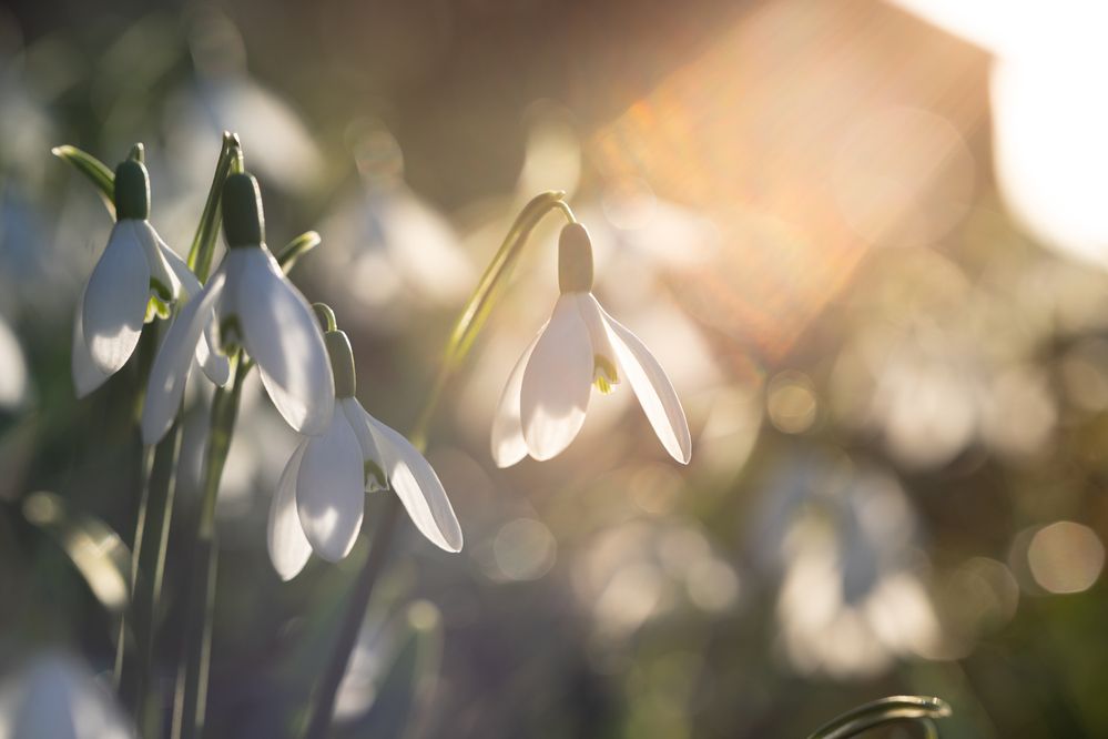 Фотография автора Alexander Pakhomov