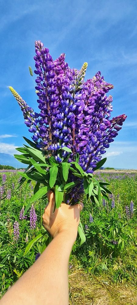 Фотография автора Юлия Егорова