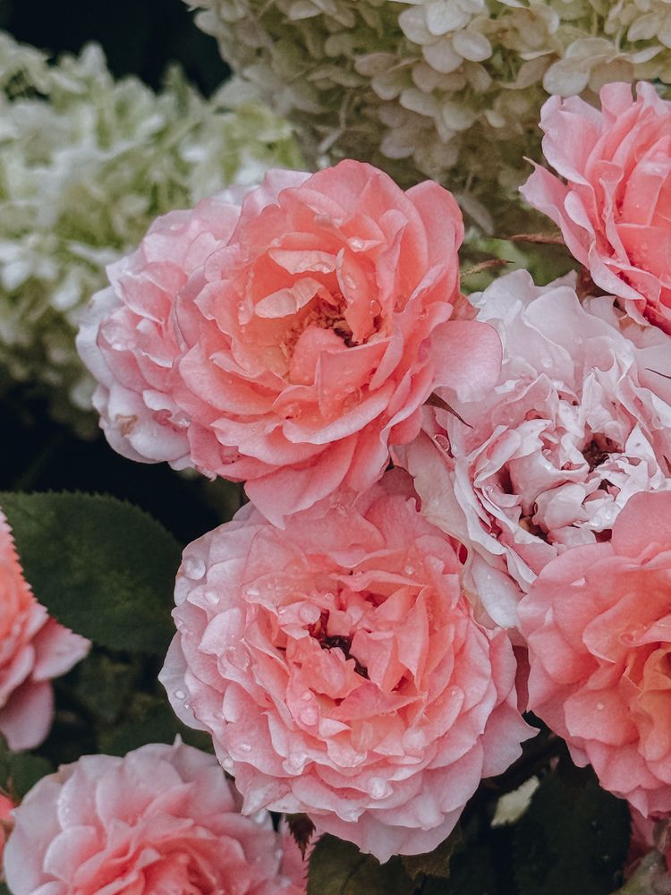 Фотография автора Анастасия