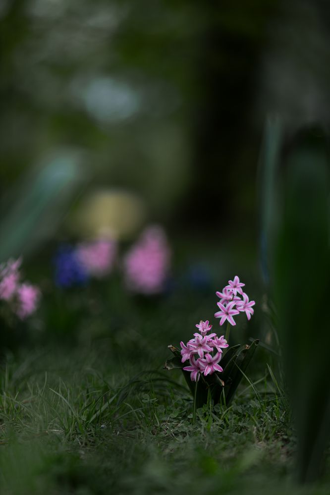 Photograph by Роман Акулов