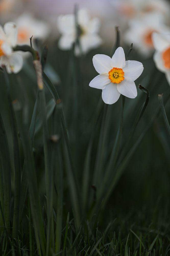 Photograph by Роман Акулов