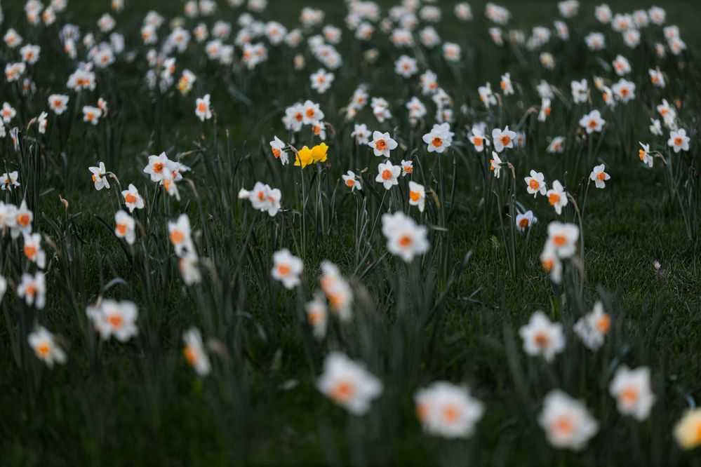 Photograph by Роман Акулов