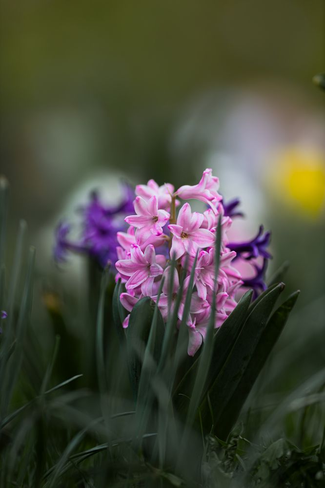 Photograph by Роман Акулов