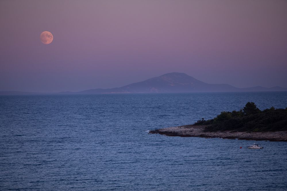 Photograph by Samir Kurtagić