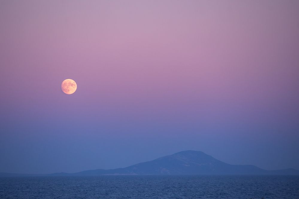 Photograph by Samir Kurtagić