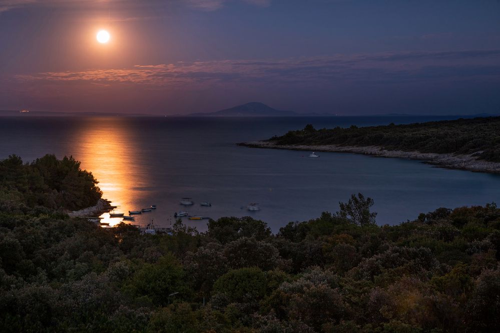 Photograph by Samir Kurtagić