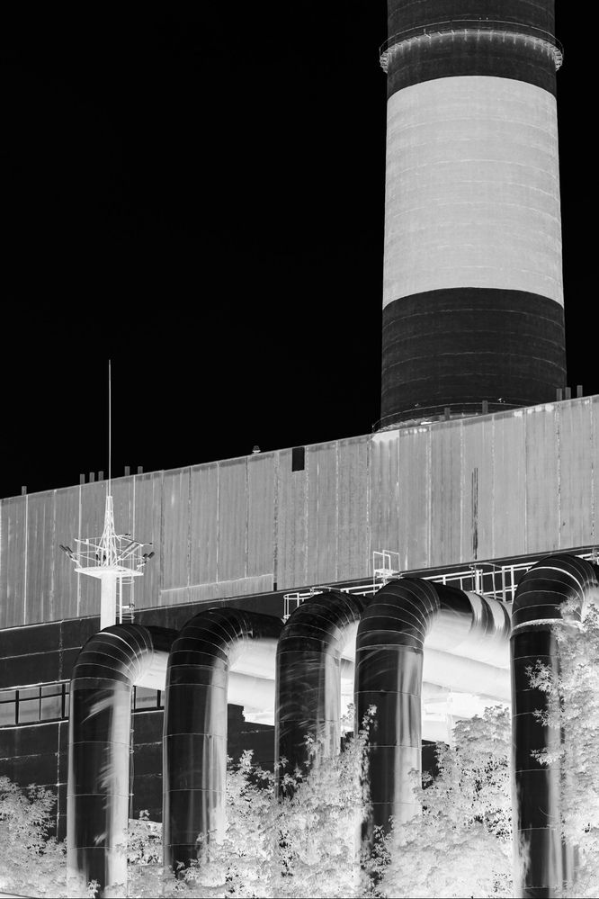 Photograph by Роман Акулов