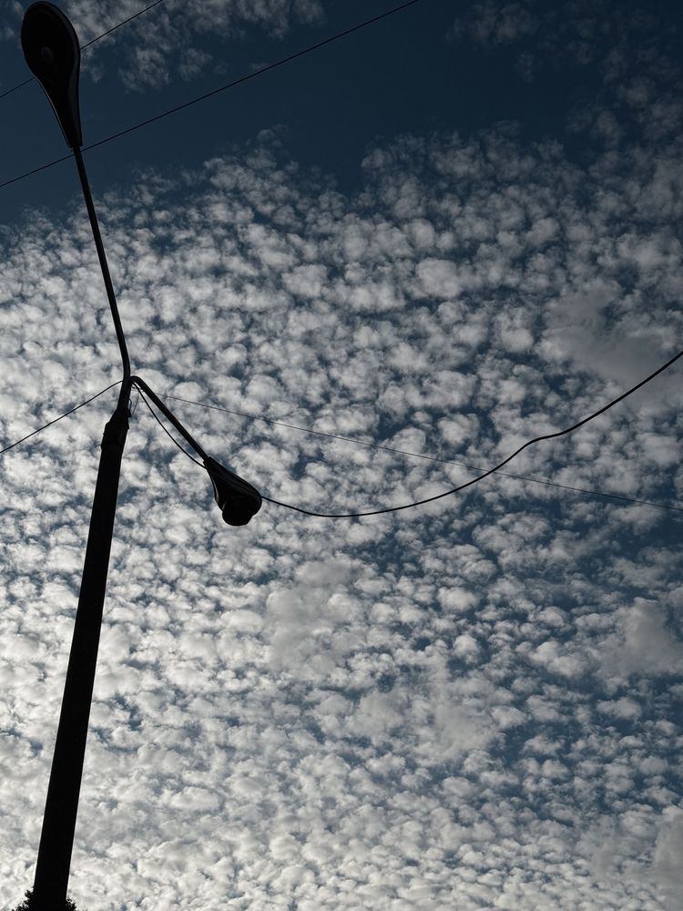 Фотография автора Анастасия