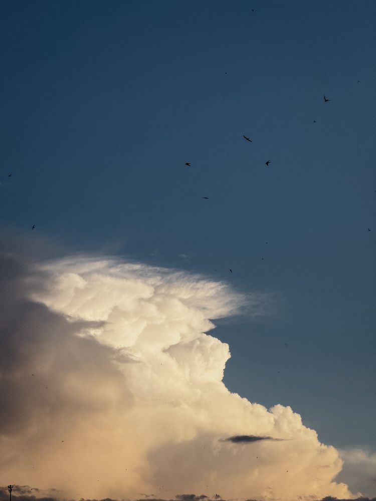 Фотография автора Анастасия