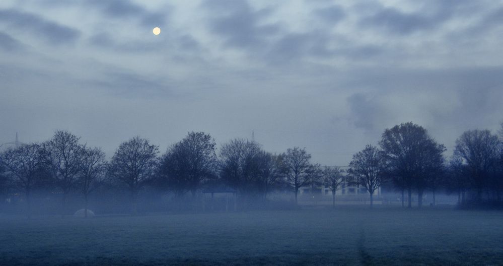 Фотография автора Александр