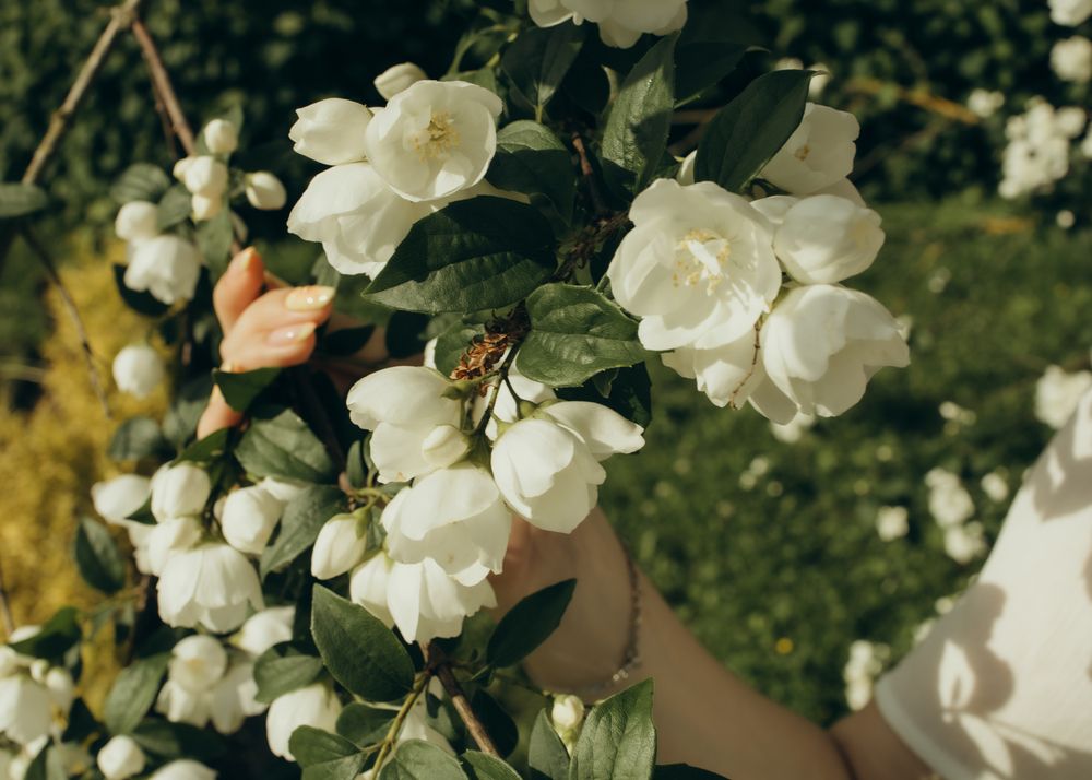 Фотография автора Ирина Богоносова