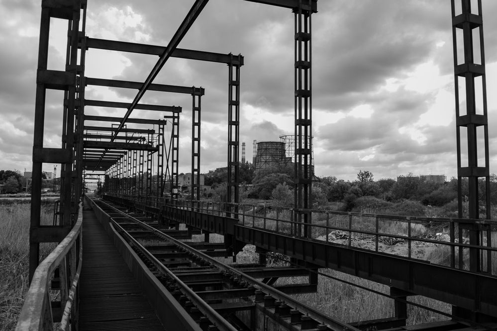 Фотография автора Daria Axofir