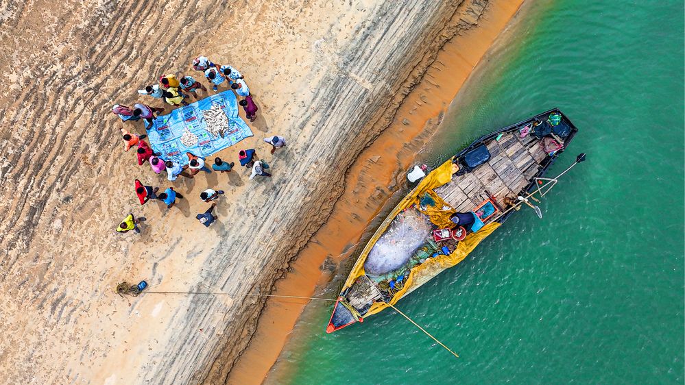 Photograph by Sayan Biswas